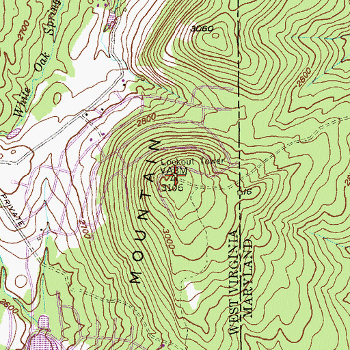 Topographic Map of Snaggy Mountain, WV