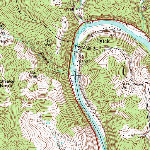 Topographic Map of Snake Fork, WV