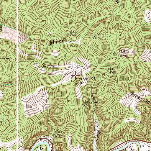 Topographic Map of Snakeroot Cemetery, WV