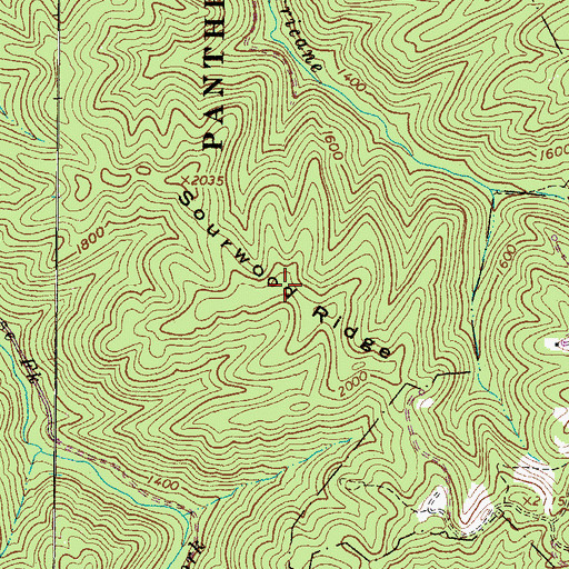 Topographic Map of Sourwood Ridge, WV