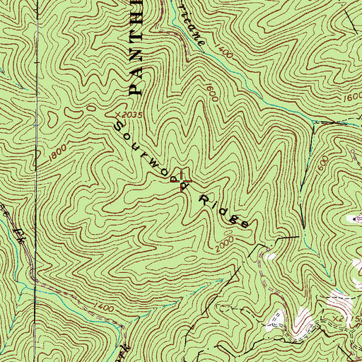 Topographic Map of Sourwood Ridge, WV