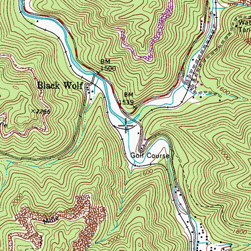 Topographic Map of South Fork Tug Fork, WV