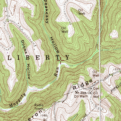 Topographic Map of Speakeasy Hollow, WV