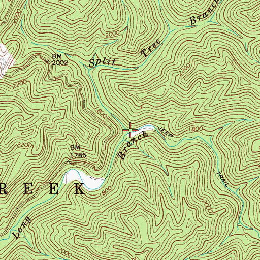Topographic Map of Split Tree Branch, WV