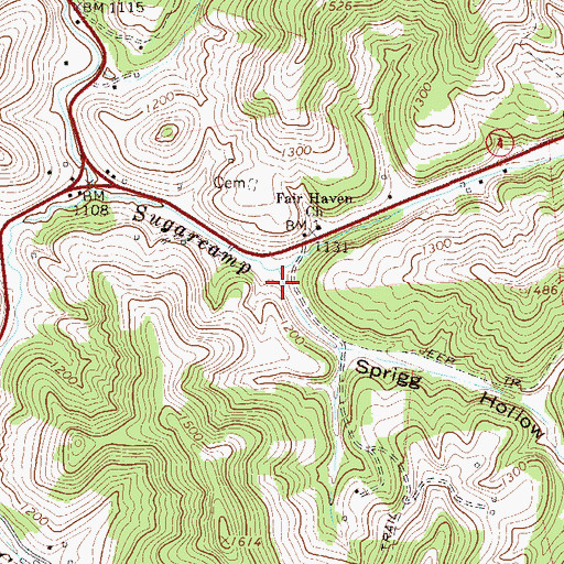 Topographic Map of Sprigg Hollow, WV