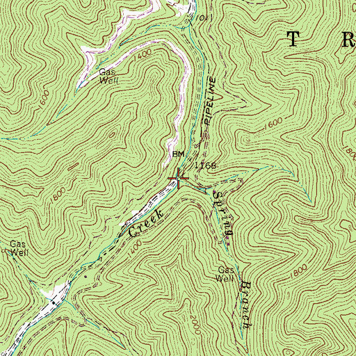 Topographic Map of Spring Branch, WV