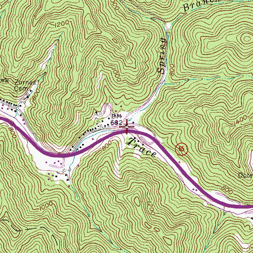 Topographic Map of Spring Branch, WV