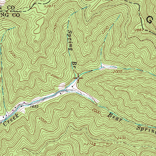 Topographic Map of Spring Branch, WV