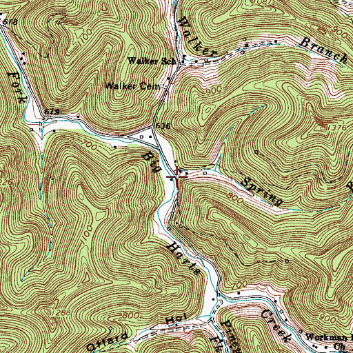 Topographic Map of Spring Branch, WV
