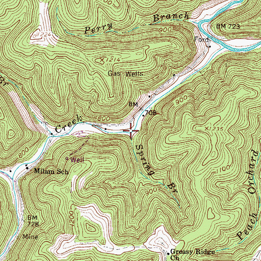 Topographic Map of Spring Branch, WV