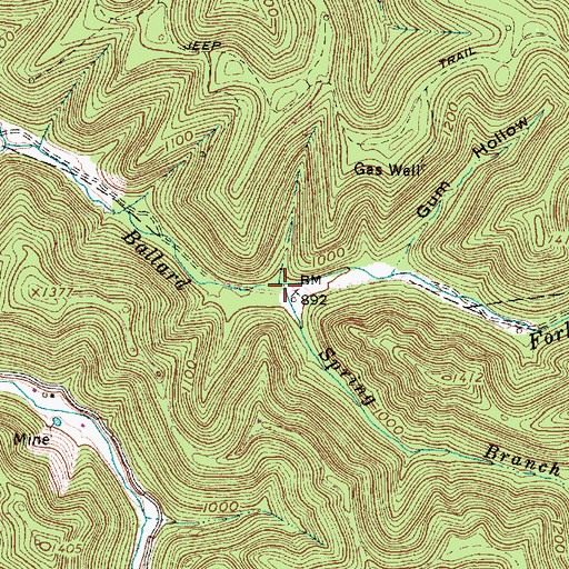 Topographic Map of Spring Branch, WV