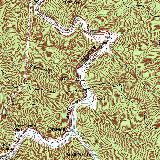 Topographic Map of Spring Branch, WV