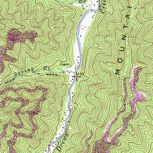 Topographic Map of Spring Branch, WV