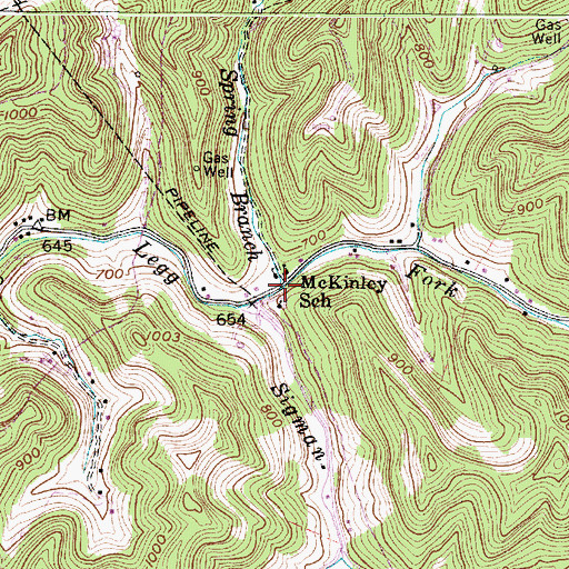 Topographic Map of Spring Branch, WV