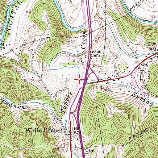 Topographic Map of Spring Branch, WV