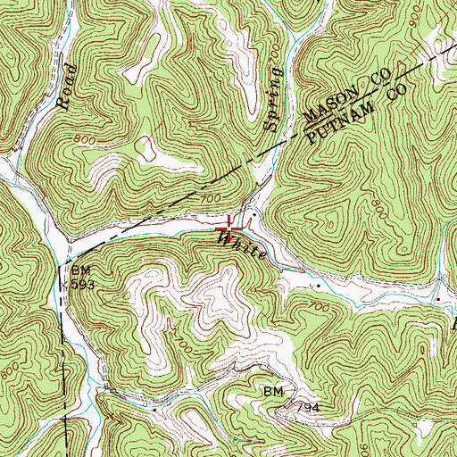 Topographic Map of Spring Branch, WV