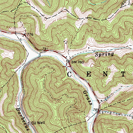 Topographic Map of Spring Fork, WV