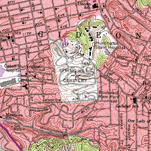 Topographic Map of Spring Hill Cemetery, WV