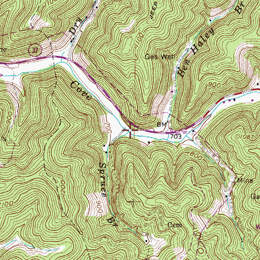 Topographic Map of Spruce Branch, WV