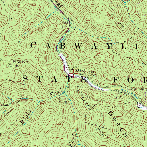Topographic Map of Spruce Fork, WV
