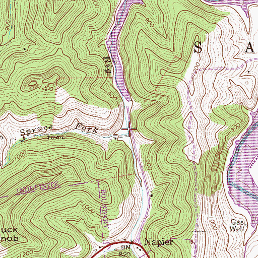 Topographic Map of Spruce Fork, WV