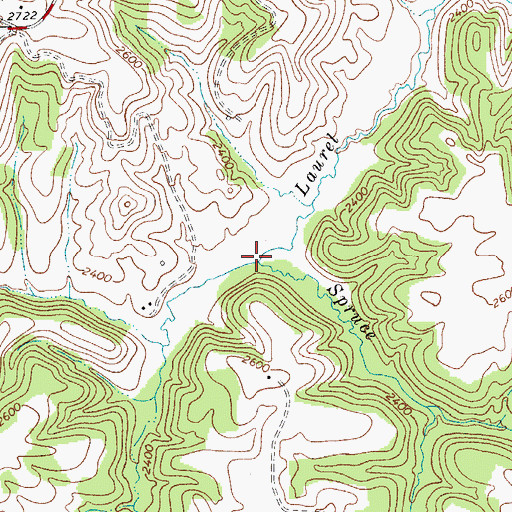 Topographic Map of Spruce Fork, WV