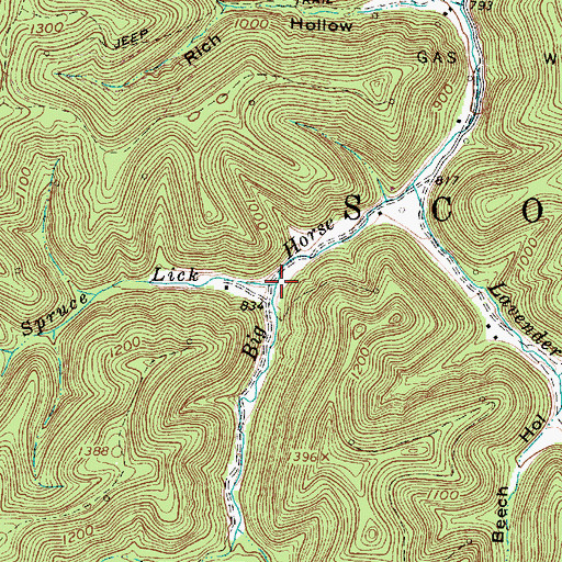 Topographic Map of Spruce Lick, WV