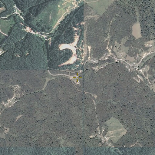 Aerial/Satellite Image of Spruce Lick, WV