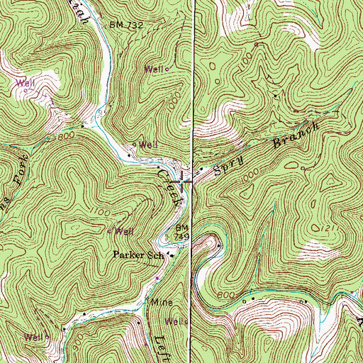 Topographic Map of Spry Branch, WV