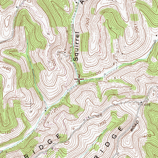 Topographic Map of Squirrel Alley, WV