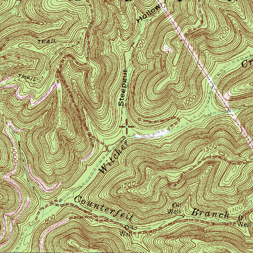 Topographic Map of Steepgut Hollow, WV