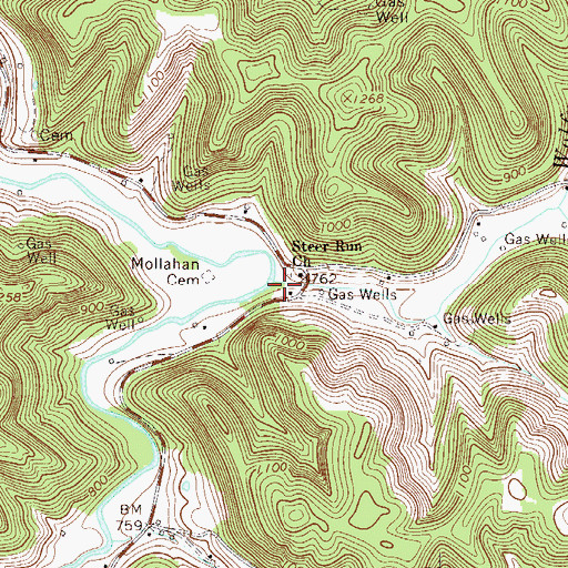 Topographic Map of Steer Run, WV