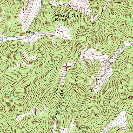 Topographic Map of Stevens Branch, WV