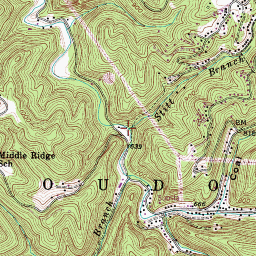 Topographic Map of Stitt Branch, WV
