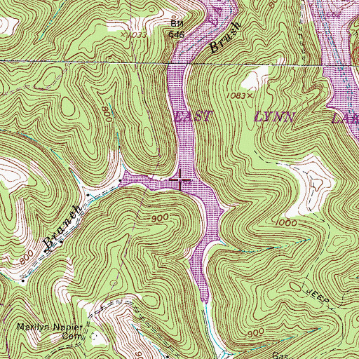 Topographic Map of Stonecoal Branch, WV