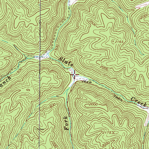 Topographic Map of Straight Fork, WV