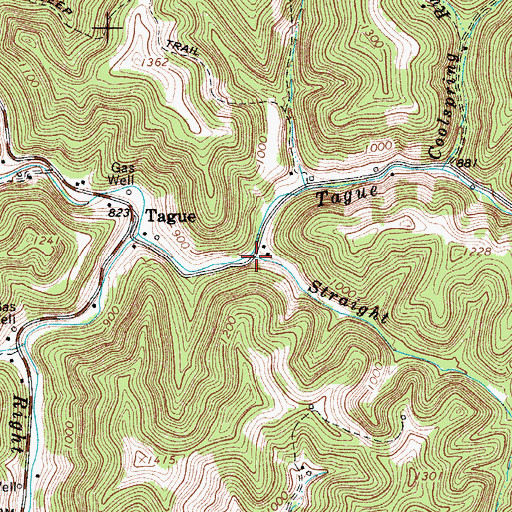 Topographic Map of Straight Fork, WV
