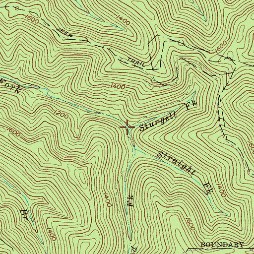 Topographic Map of Sturgell Fork, WV