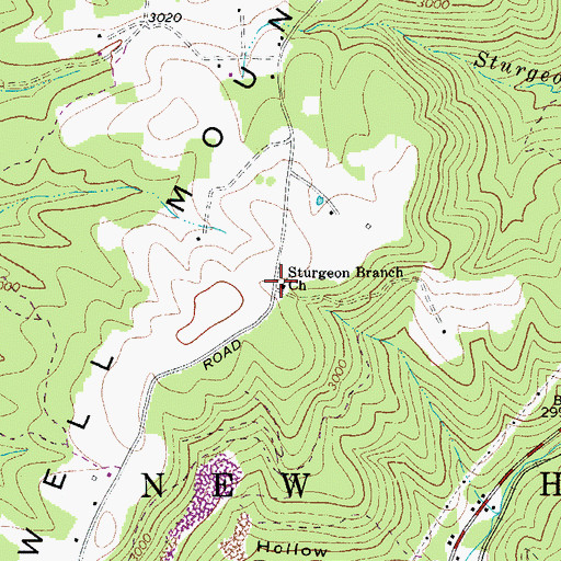 Topographic Map of Sturgeon Branch Church, WV