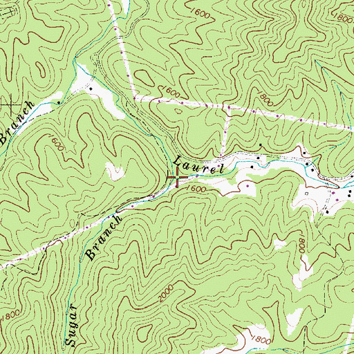 Topographic Map of Sugar Branch, WV