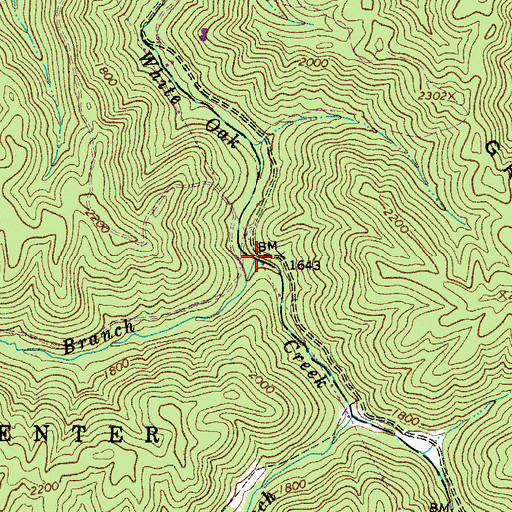 Topographic Map of Sulphur Branch, WV