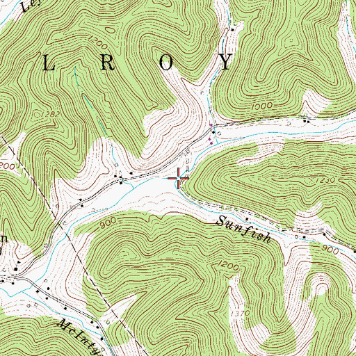 Topographic Map of Sunfish Run, WV