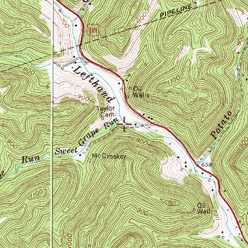 Topographic Map of Sweet Grape Run, WV