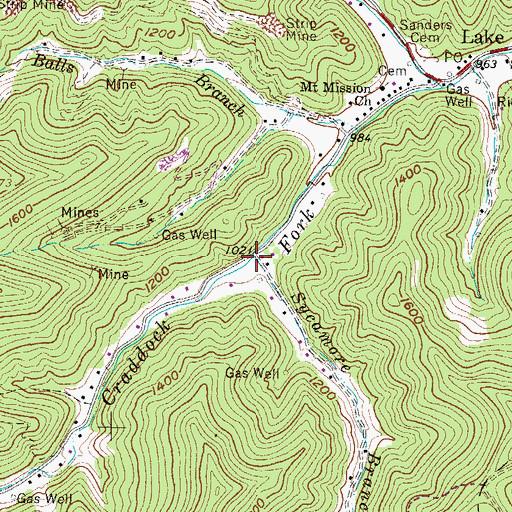 Topographic Map of Sycamore Branch, WV