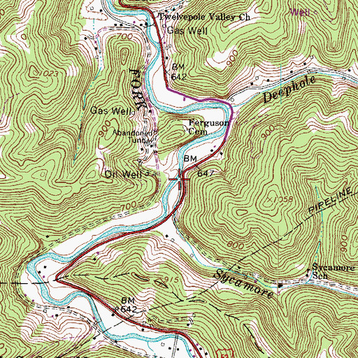 Topographic Map of Sycamore Branch, WV