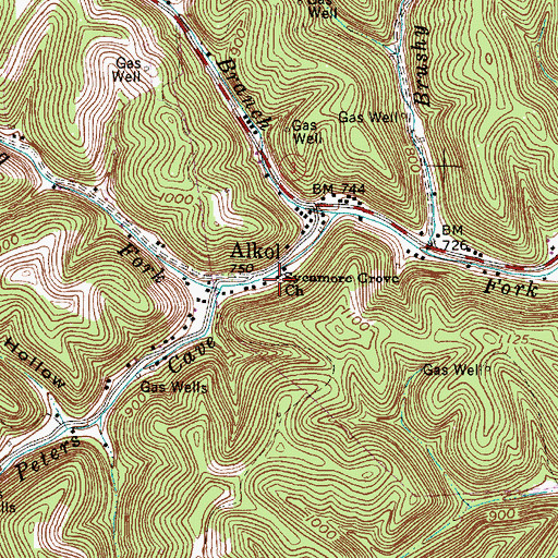 Topographic Map of Sycamore Grove Church, WV