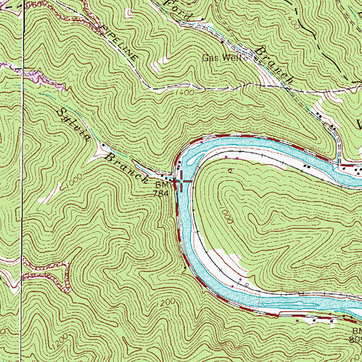 Topographic Map of Sylvia Branch, WV