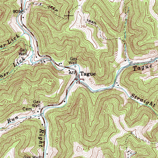 Topographic Map of Tague Fork, WV