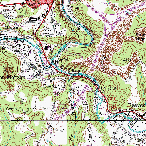 Topographic Map of Tank Branch, WV
