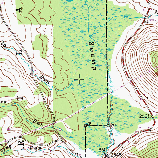 Topographic Map of Tankiln Run, WV